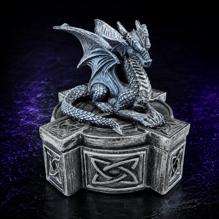 Dragon Dice Storage Box in Blue, DnD dice storage