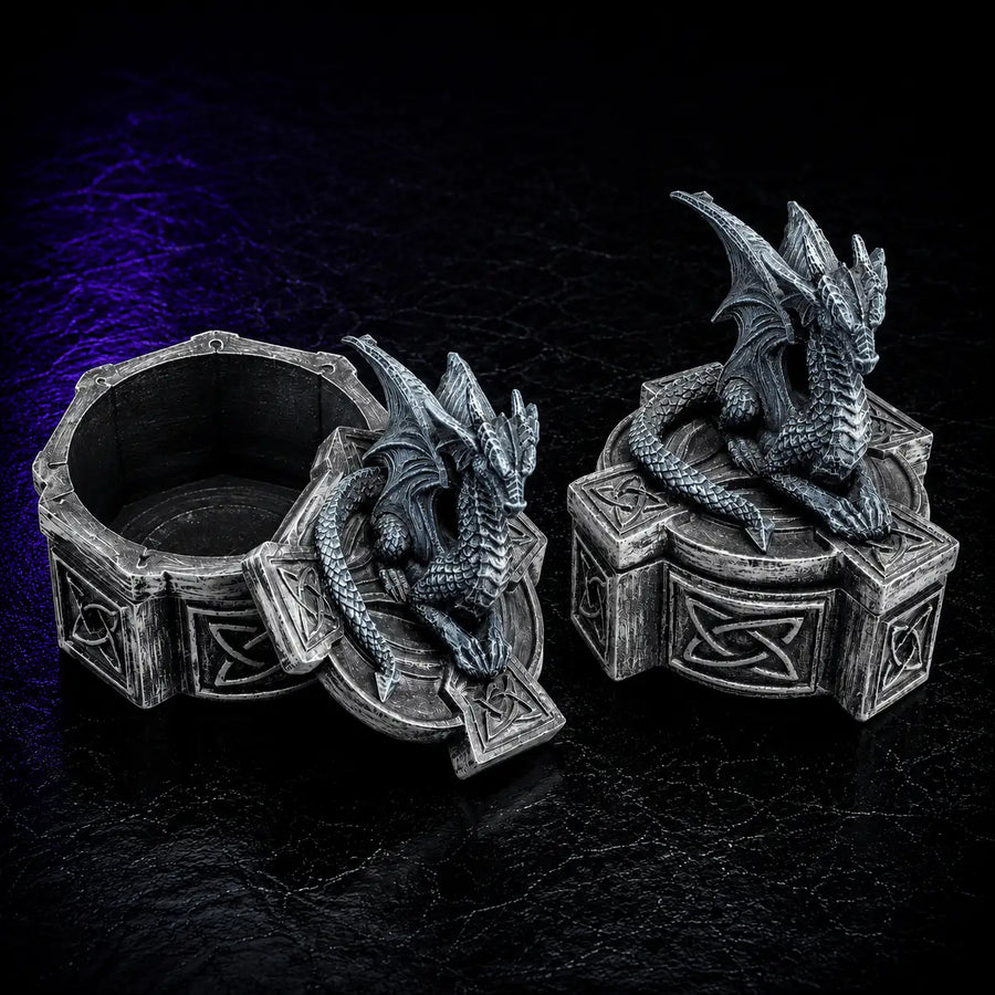 Dragon Dice Storage Box, DnD dice storage for tabletop RPGs