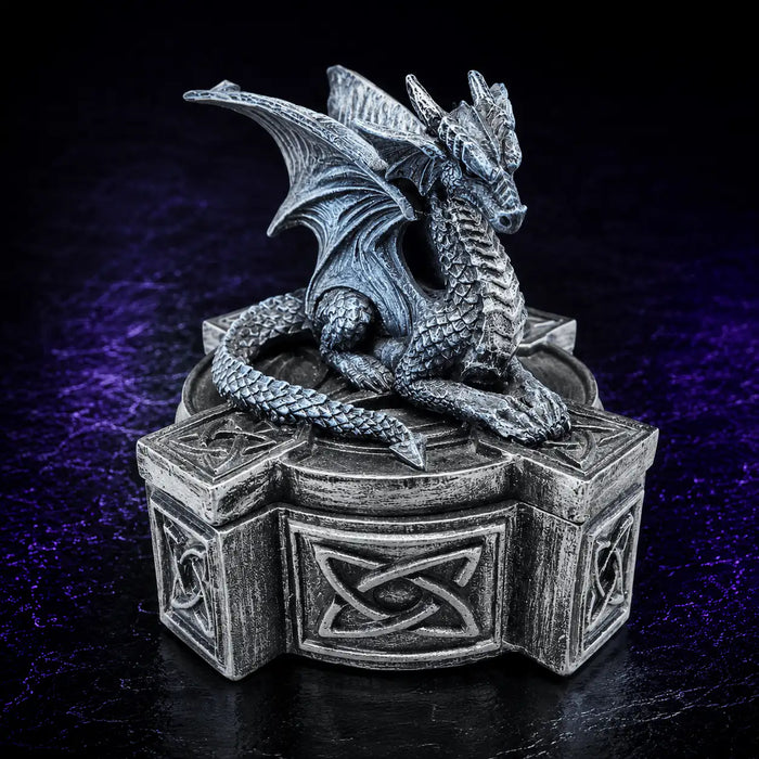 Dragon Dice Storage Box in Blue, DnD dice storage